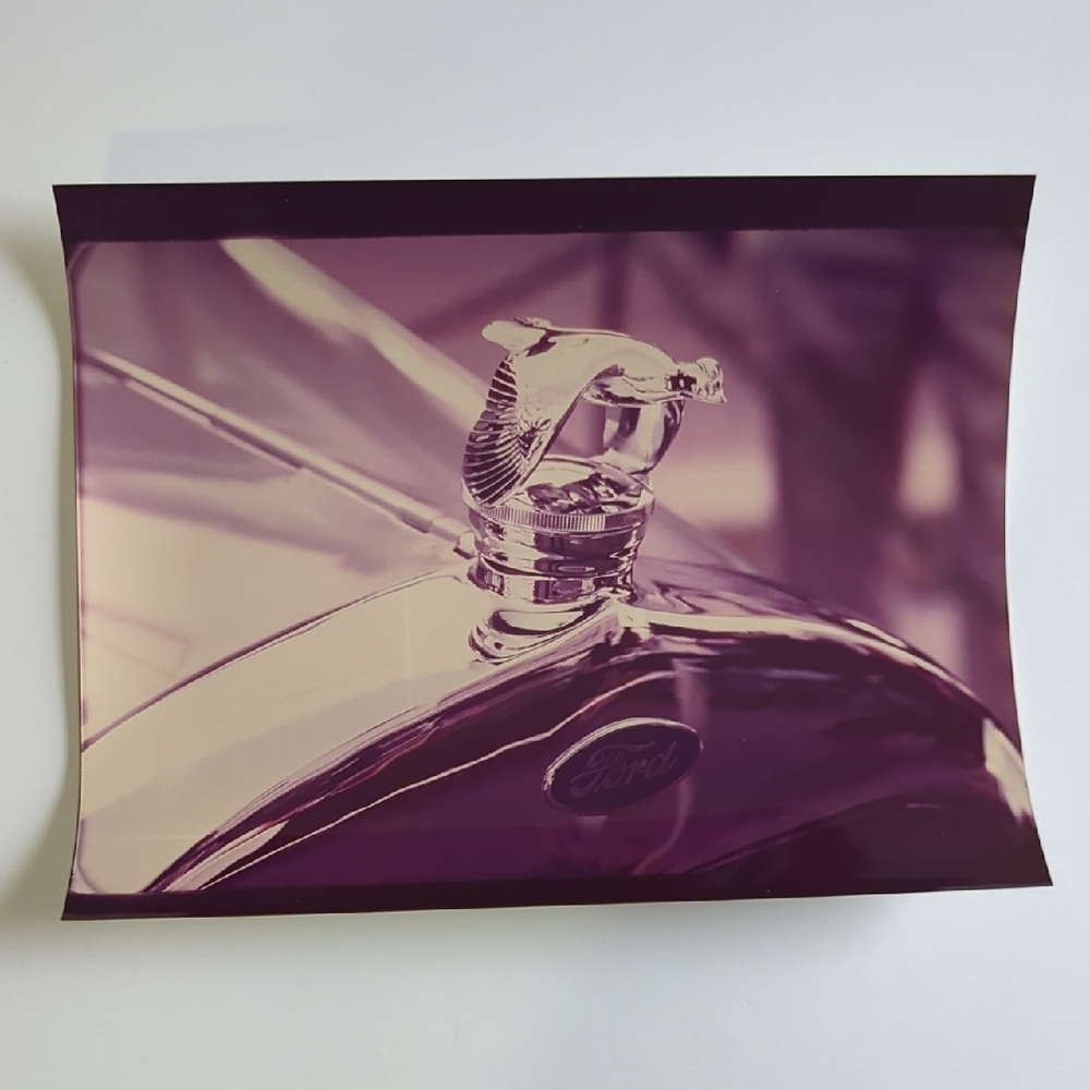 Photograph Of Vintage Flying Bird Hood Ornament On A Classic Ford Chrome Picture